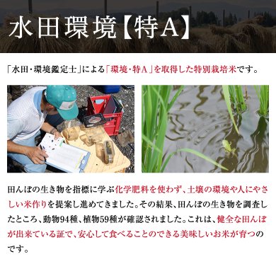 農薬不使用 生きた玄米 紅の華 令和4年産
