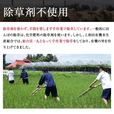 農薬不使用 生きた玄米 紅の華 令和4年産