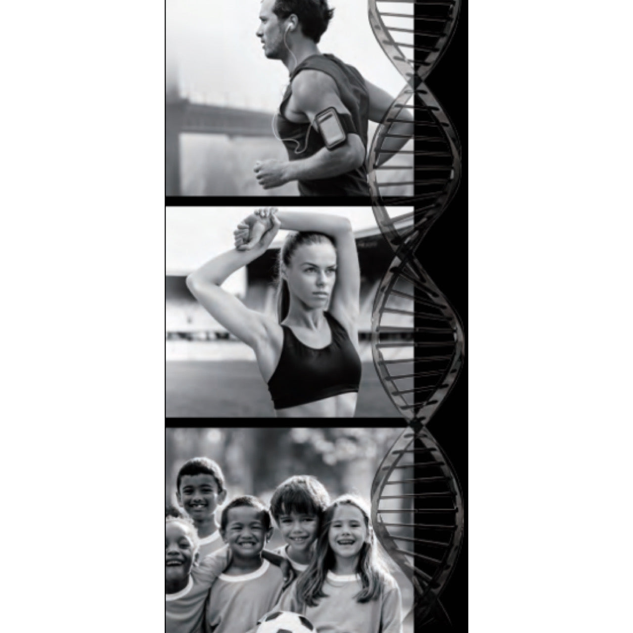 DNAprosport14解析キット