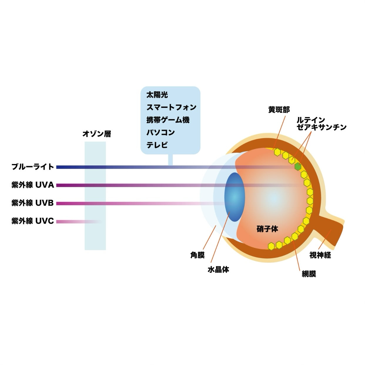ミラグロAG